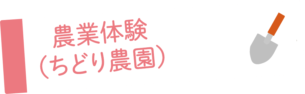 農園体験(ちどり農園)