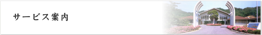サービス案内