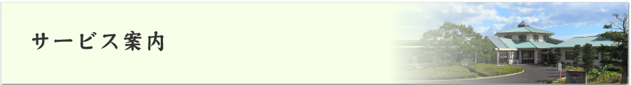サービス案内